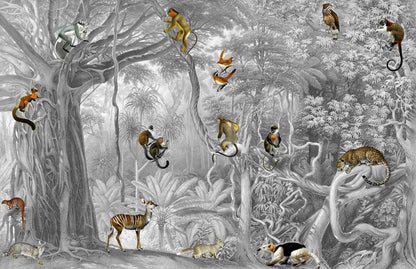 Natural World