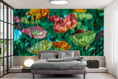 Opium Field