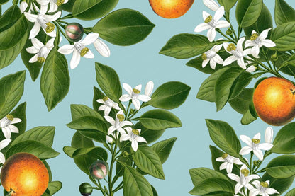 Orange Blossoms