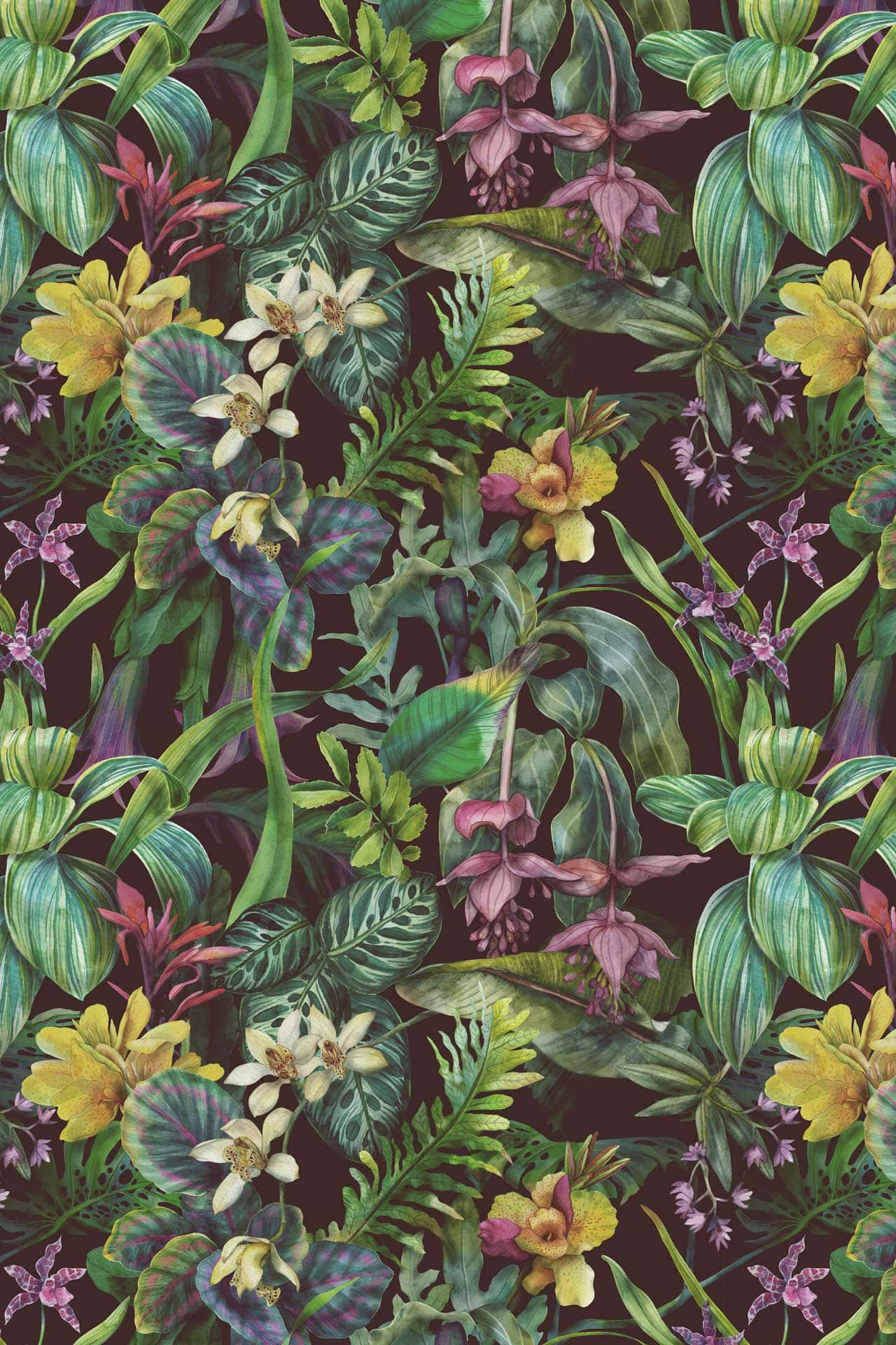 Orchid Files