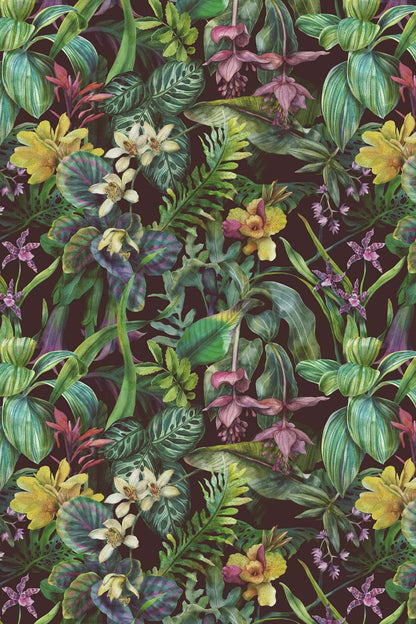 Orchid Files
