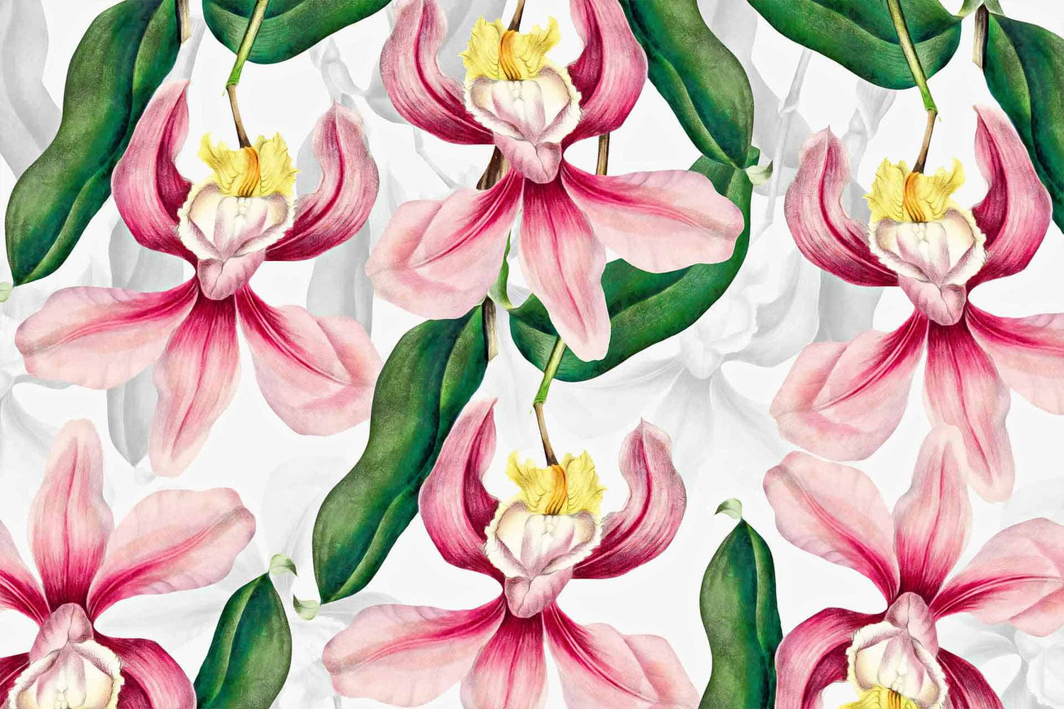 Orchid Party