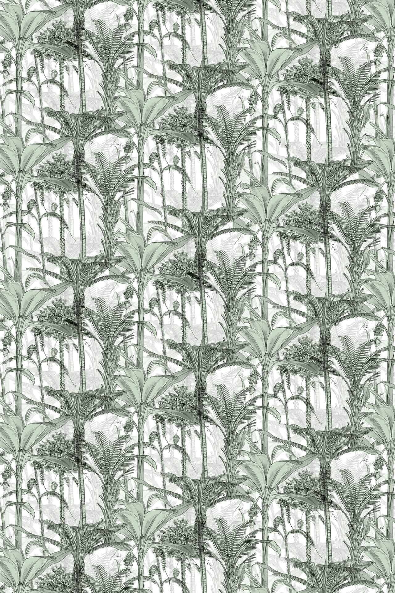 Palm Ladder