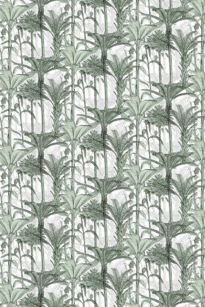 Palm Ladder