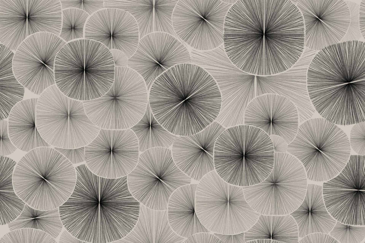 Pencil Circle