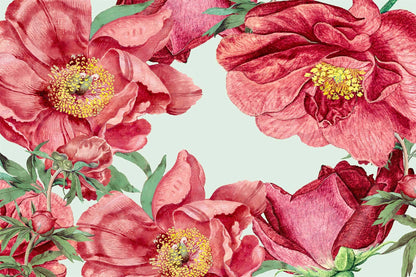 Peony Buds
