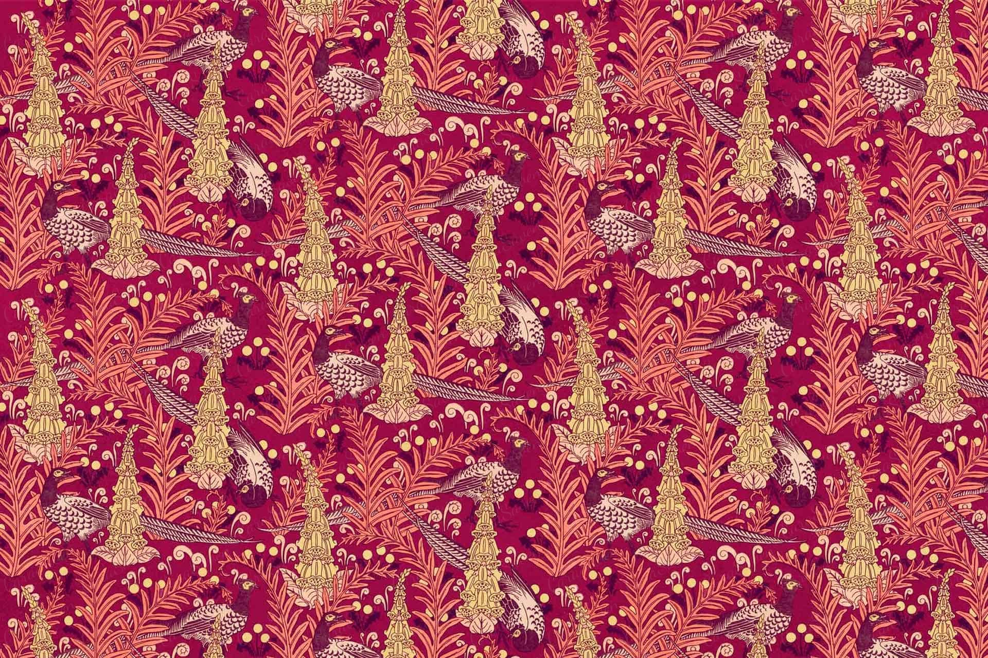 Pheasant Fun