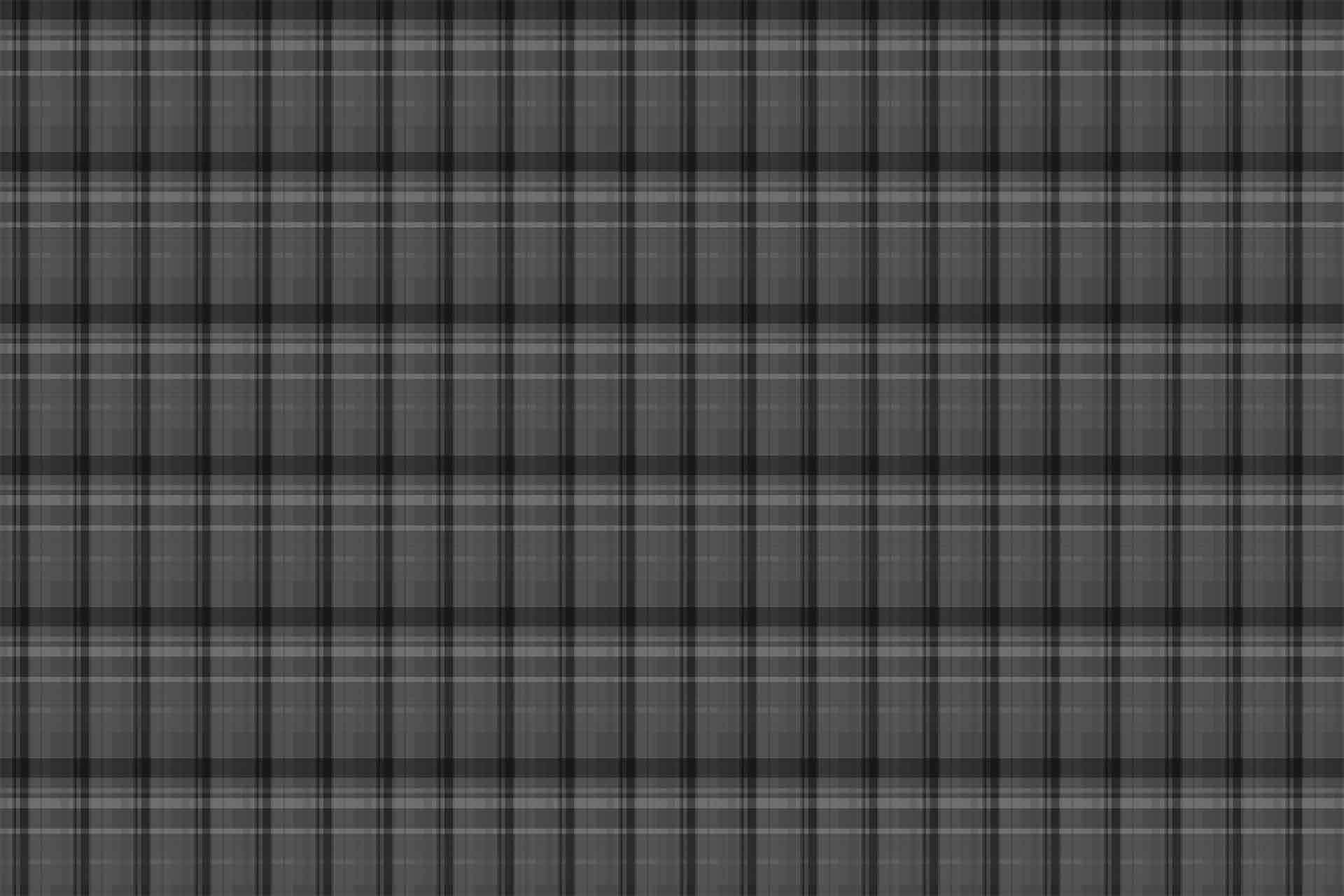 Plaid Fun