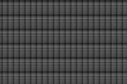 Plaid Fun