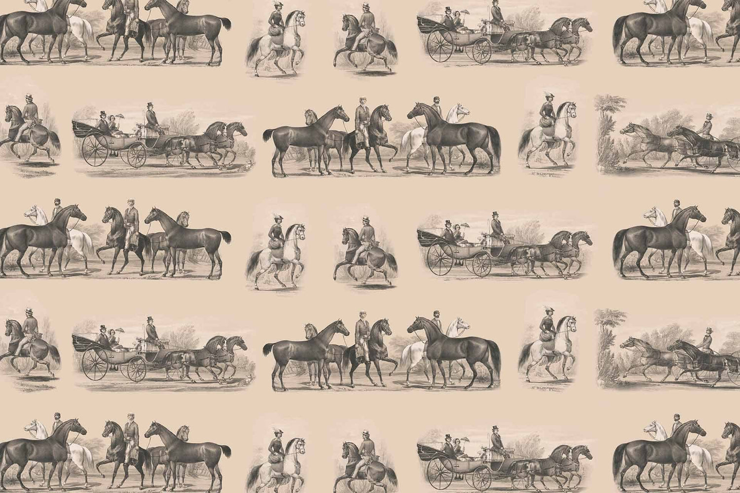 Pony Rider