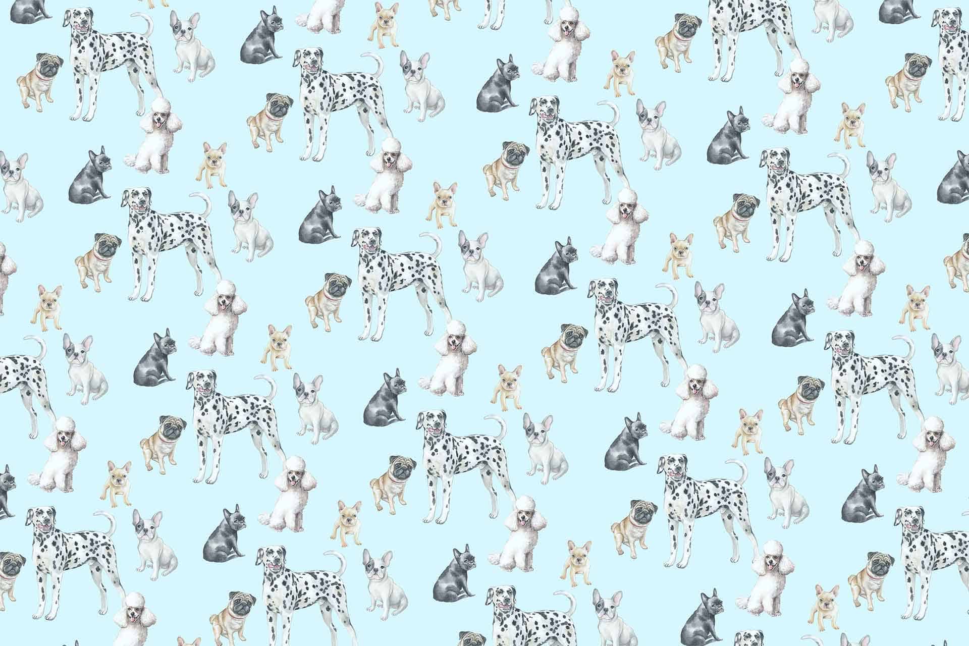 Puppy Tails