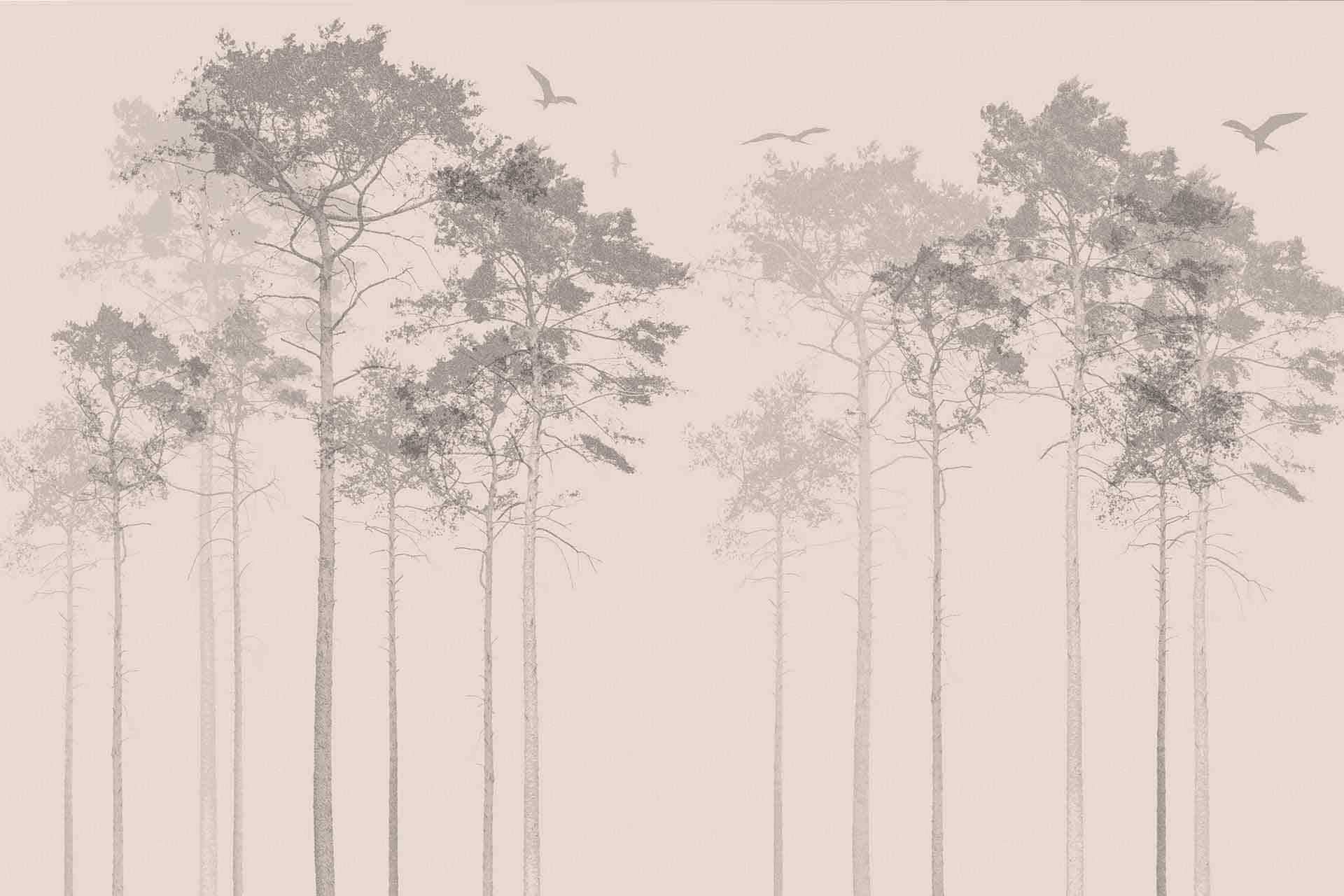 Scotch Pine