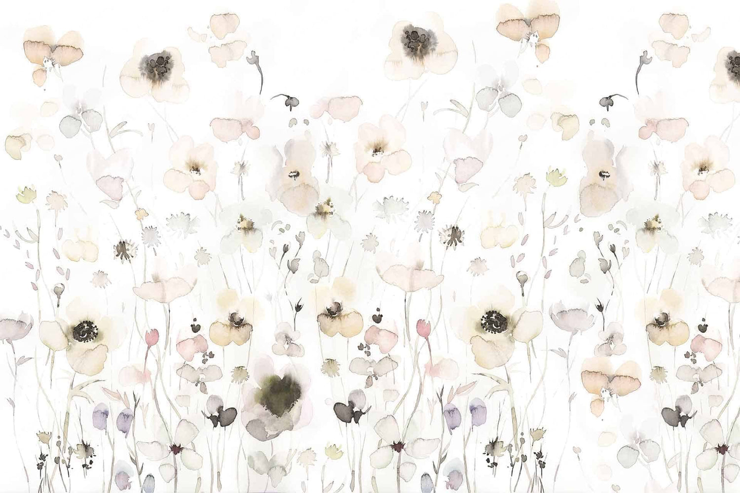Seeds Of Hope