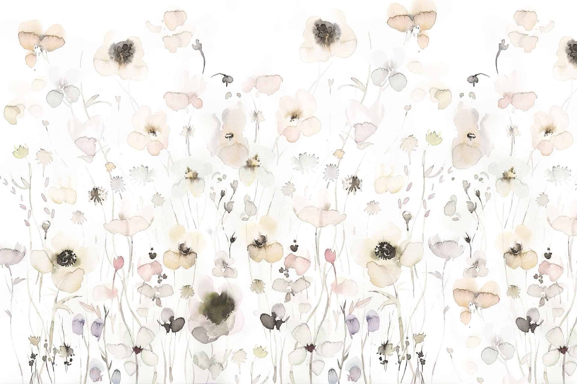Seeds Of Hope