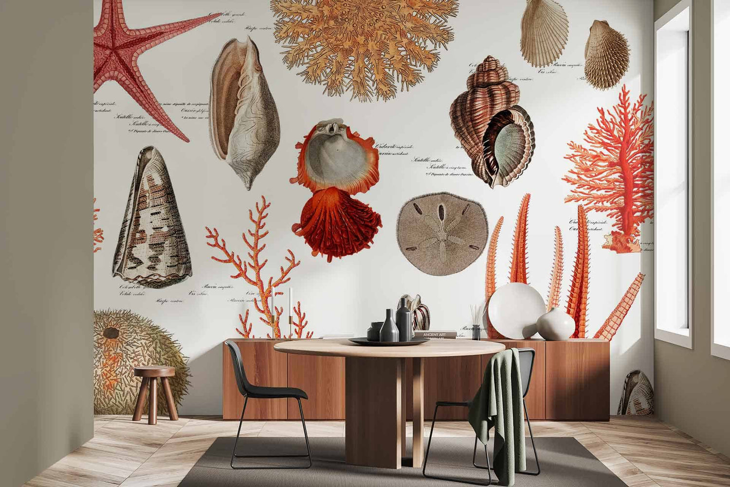 Shell Collector