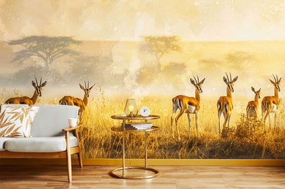 Springbok