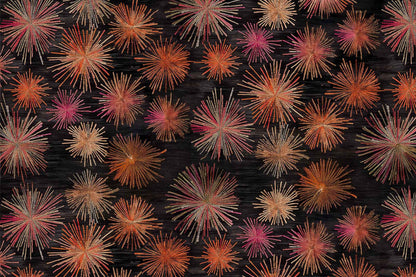 Star Fire
