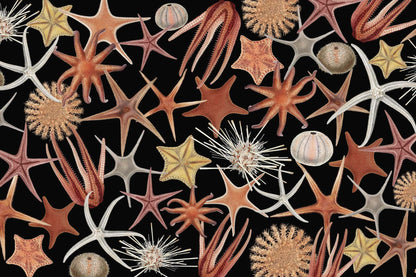 Starfish