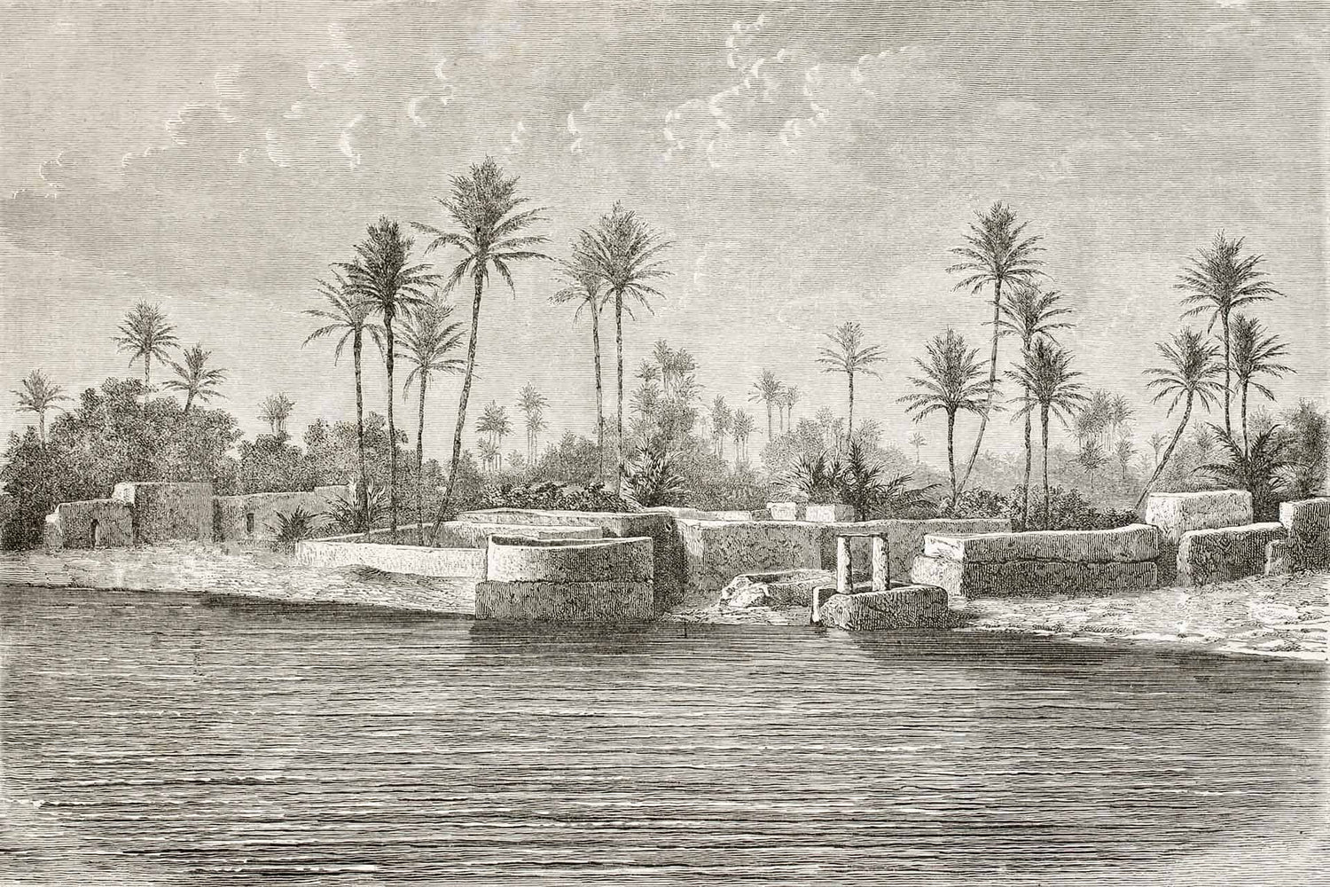 The Port