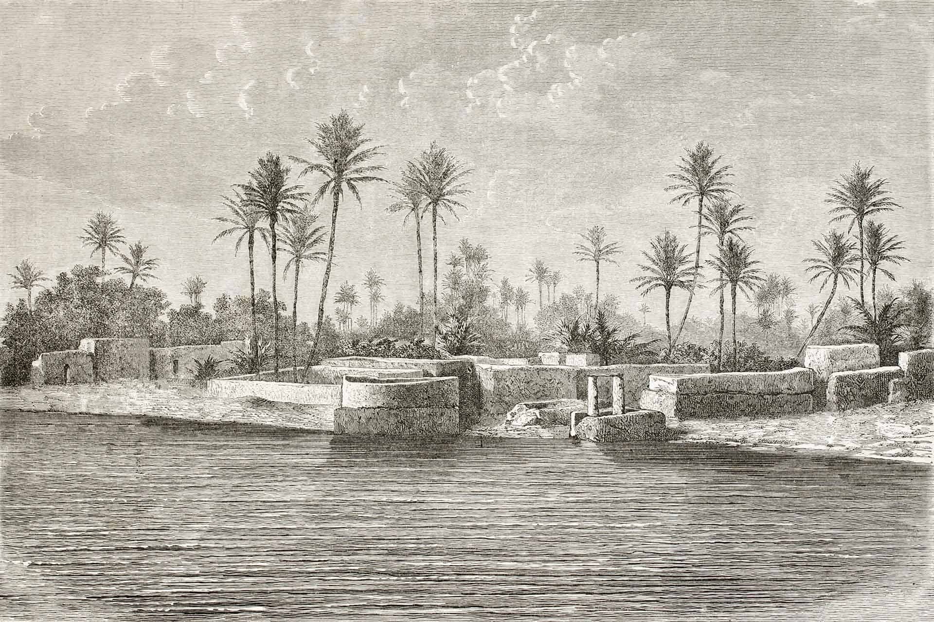 The Port