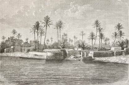 The Port