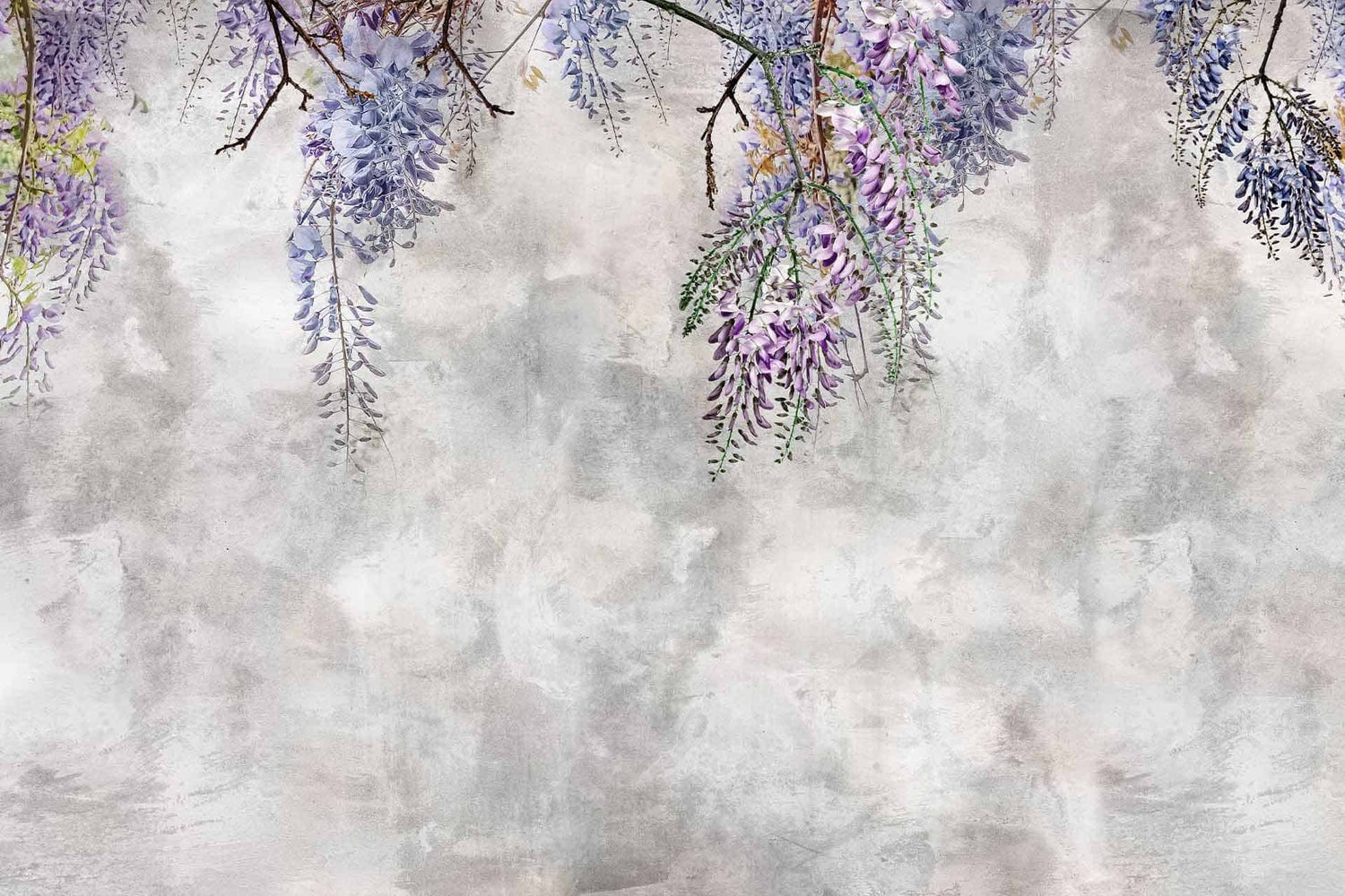 Wishing For Wisteria