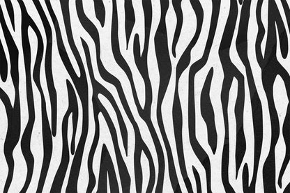 Zebra Crossing