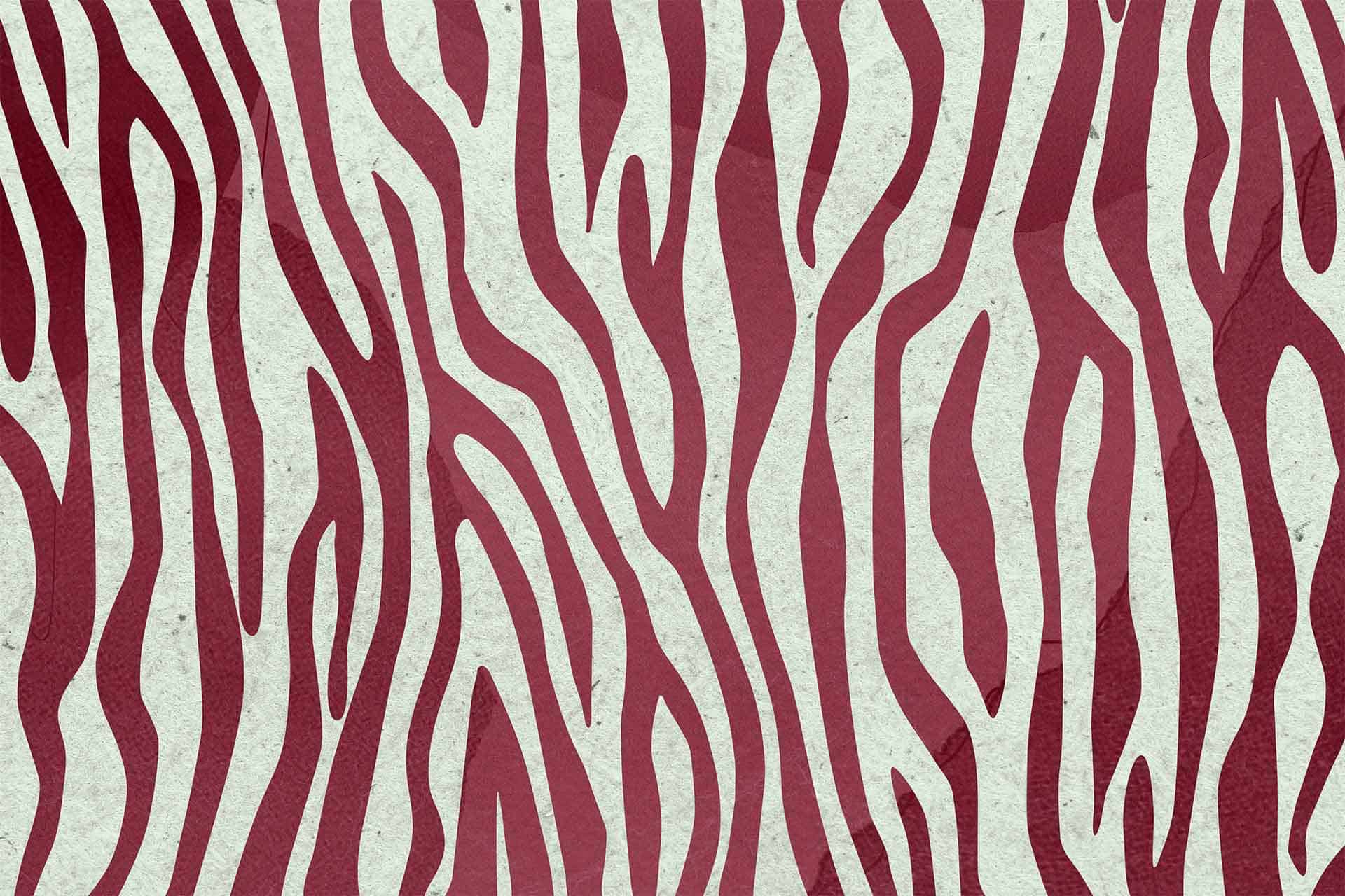 Zebra Crossing