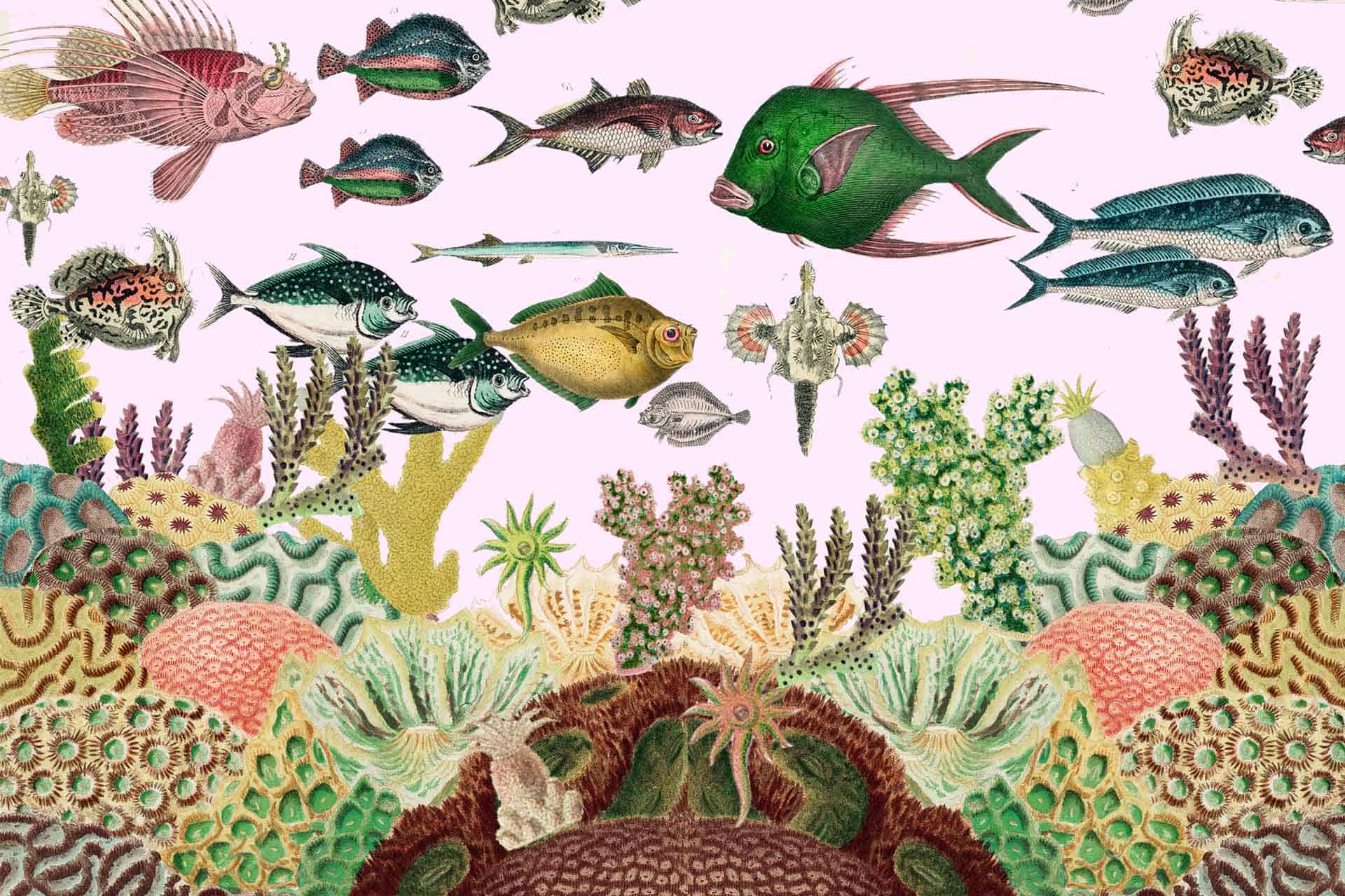 Abundant Oceans
