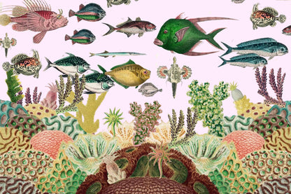 Abundant Oceans