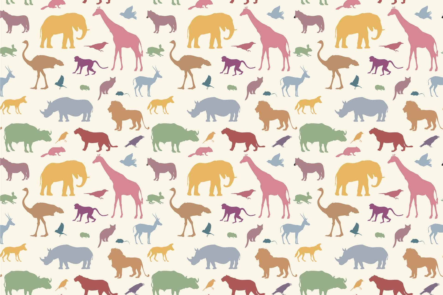 Animal Fun