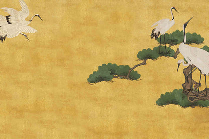 Asian Nights