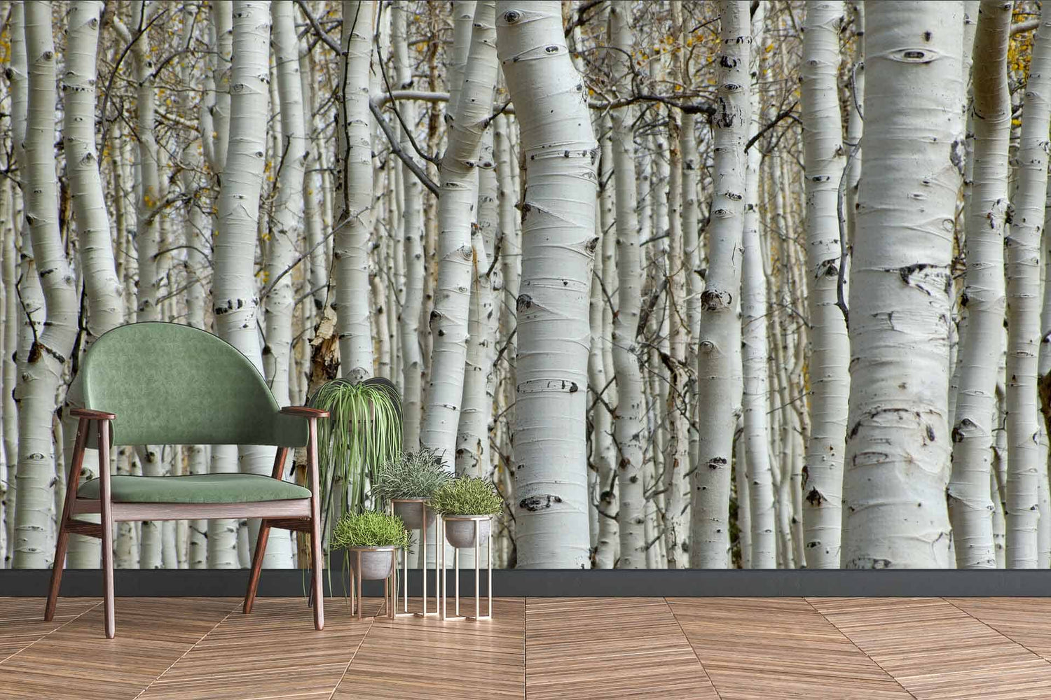 Aspen Trees