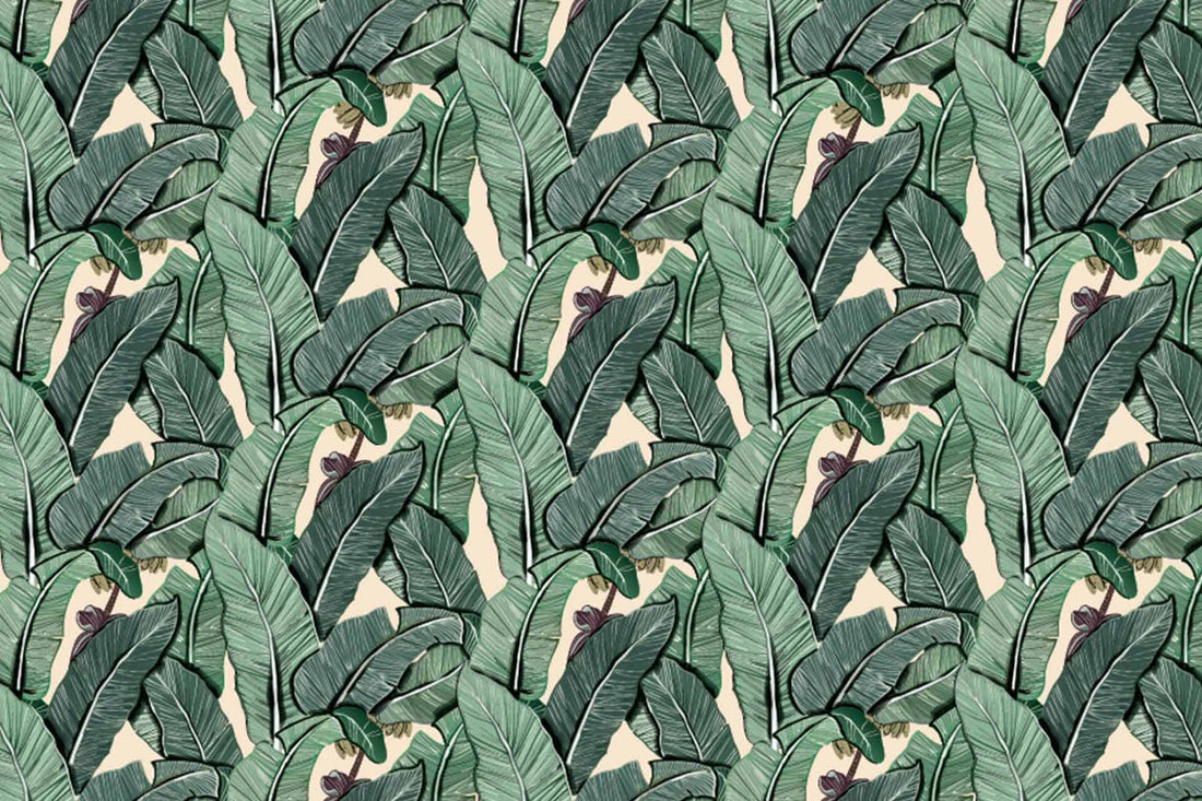 Banana Leaves