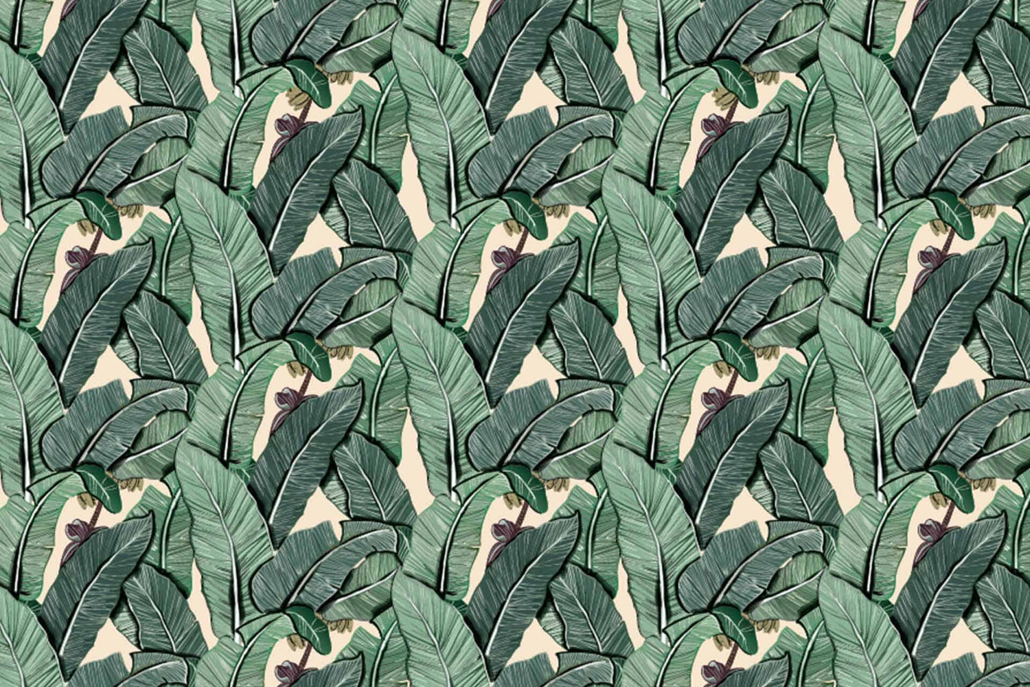 Banana Leaves