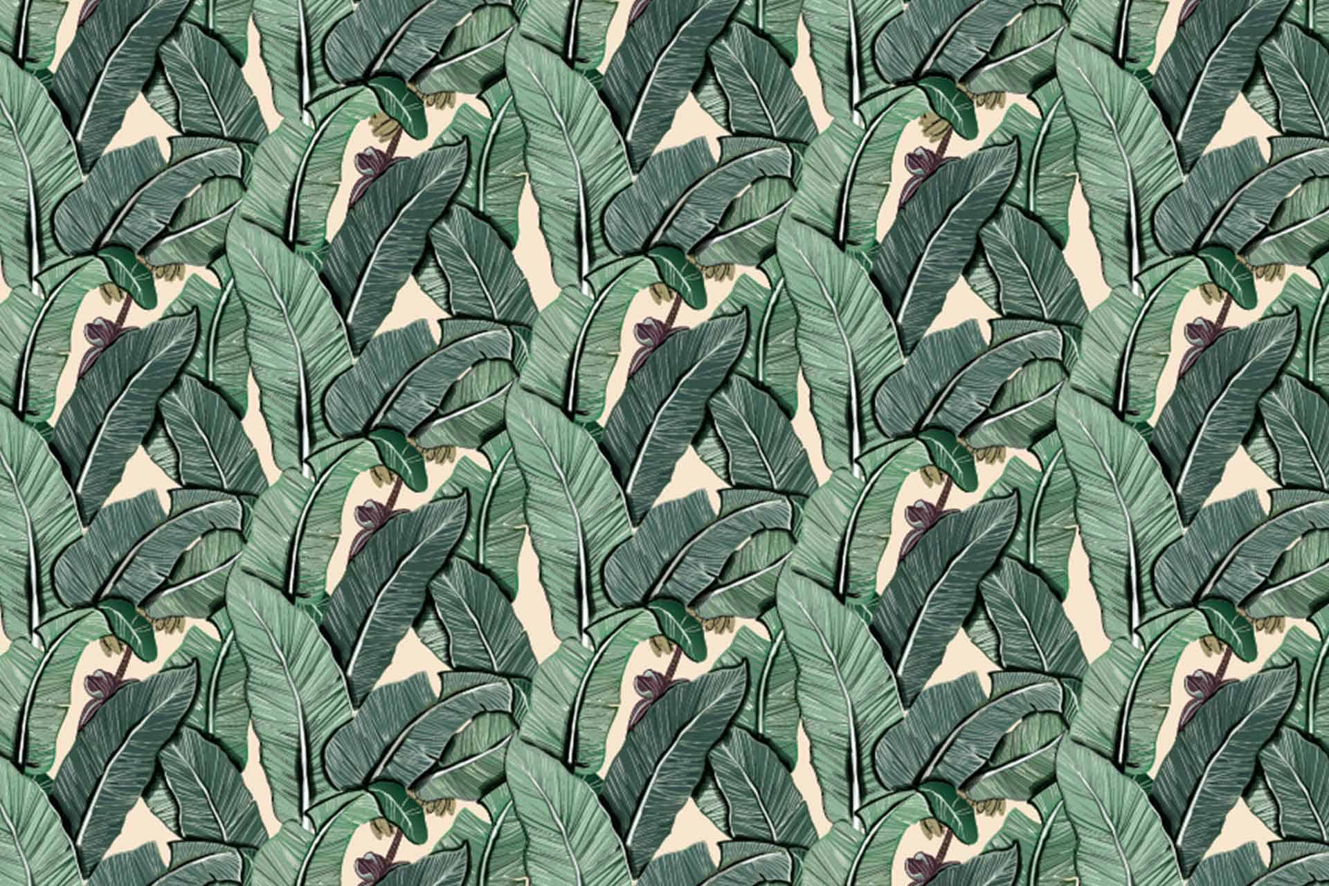 Banana Leaves