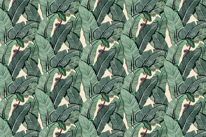 Banana Leaves