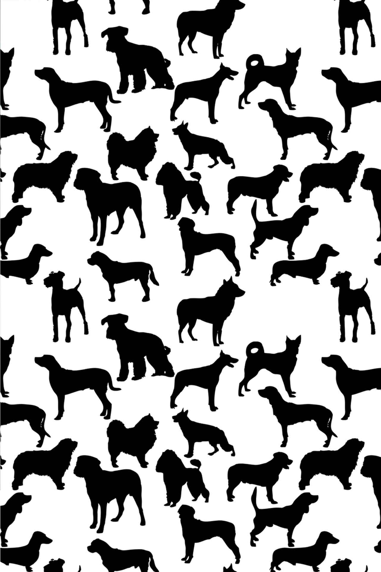 Best of Breed