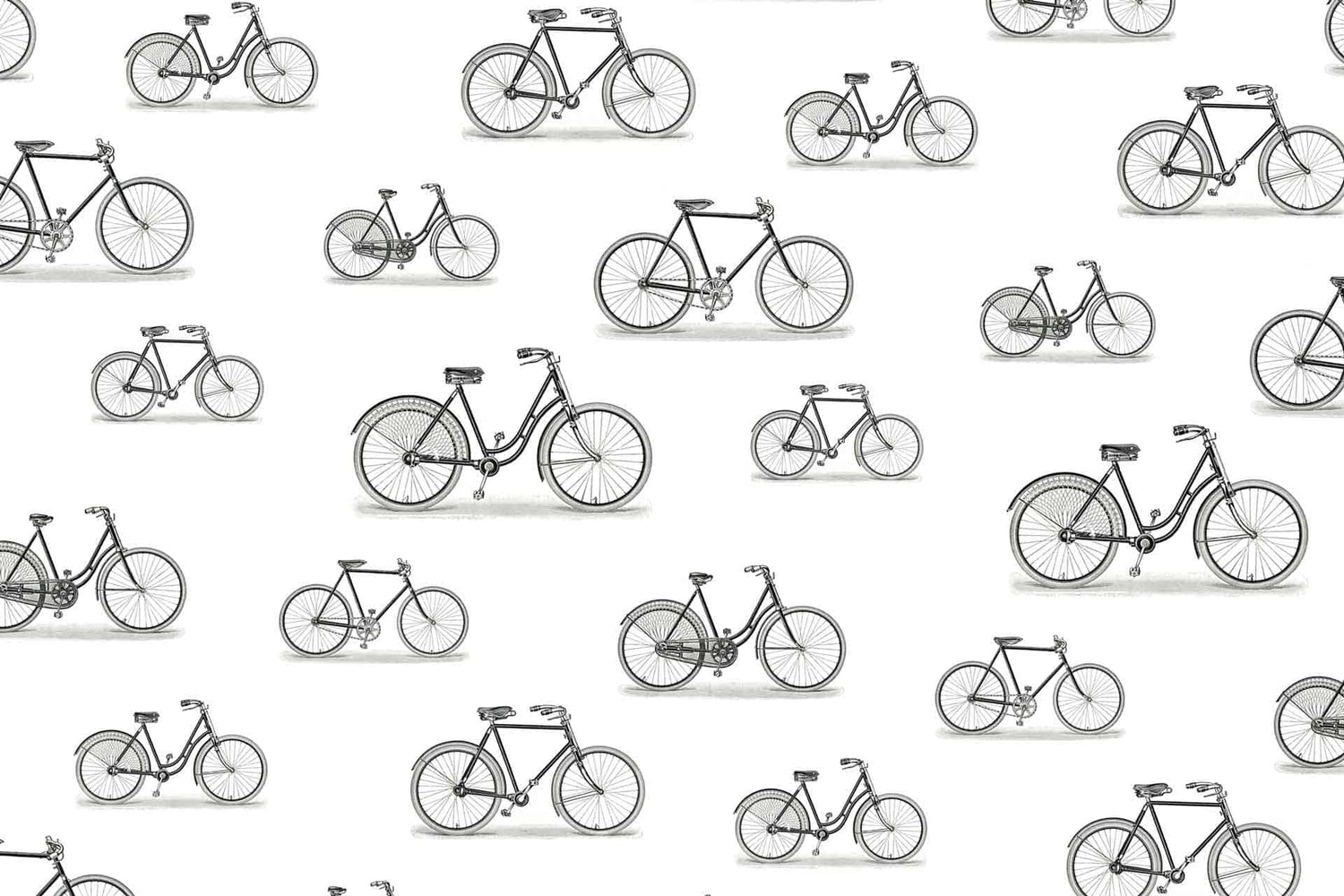 Bicycle Races