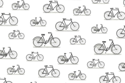 Bicycle Races
