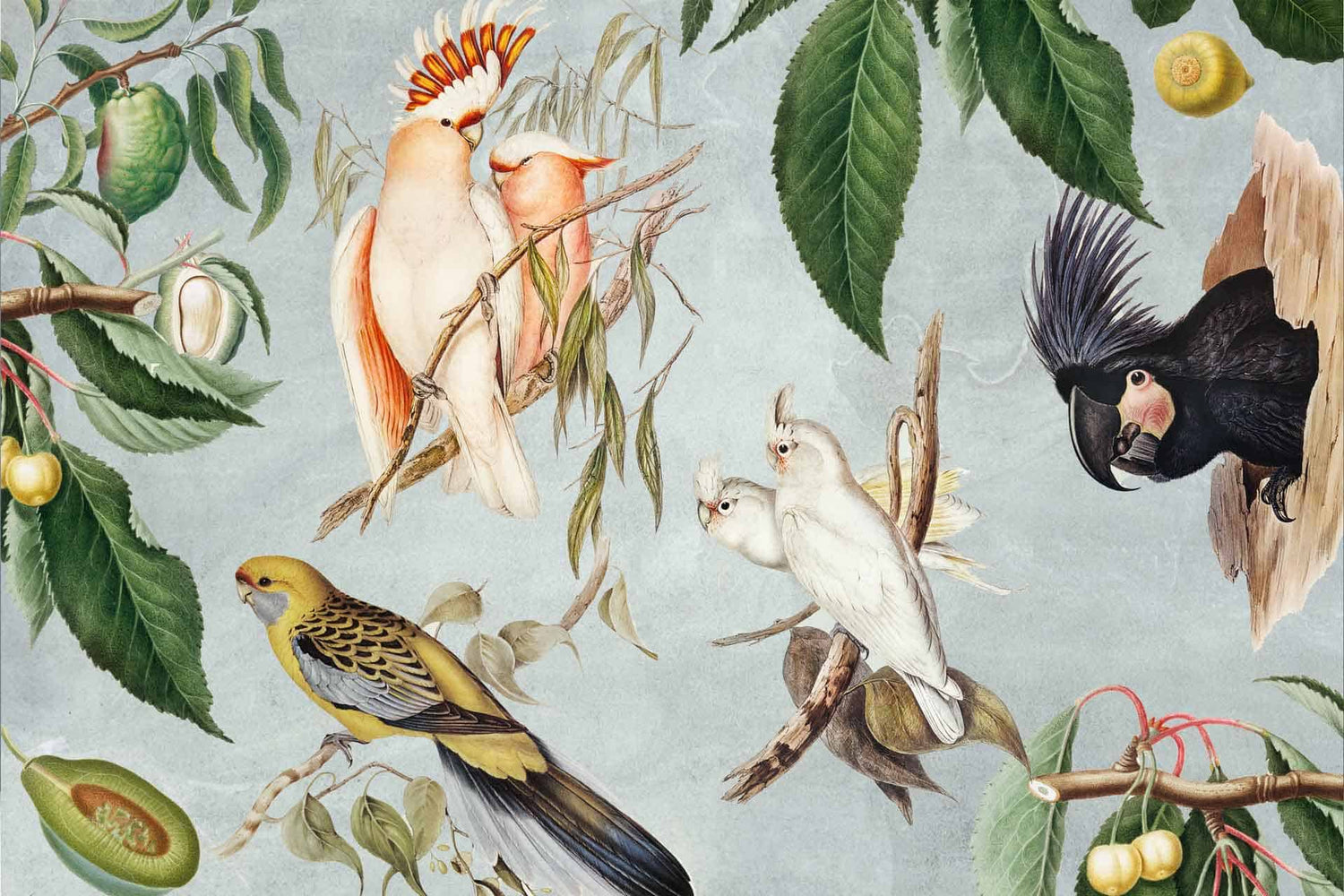 Birds and Fruit