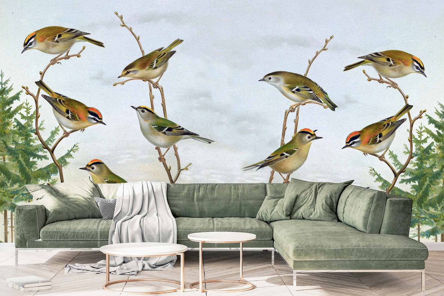 Birds on a Twig