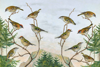 Birds on a Twig