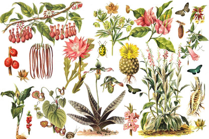 Botanical Bugs