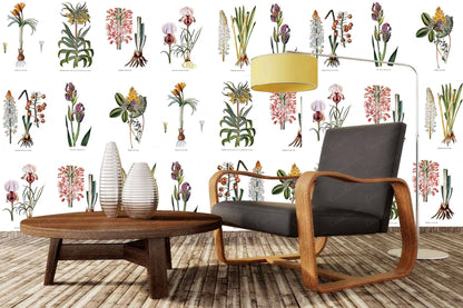 Botanists Wall