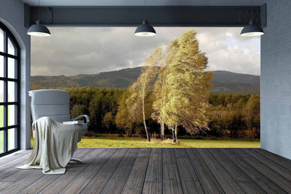 Breezy Trees