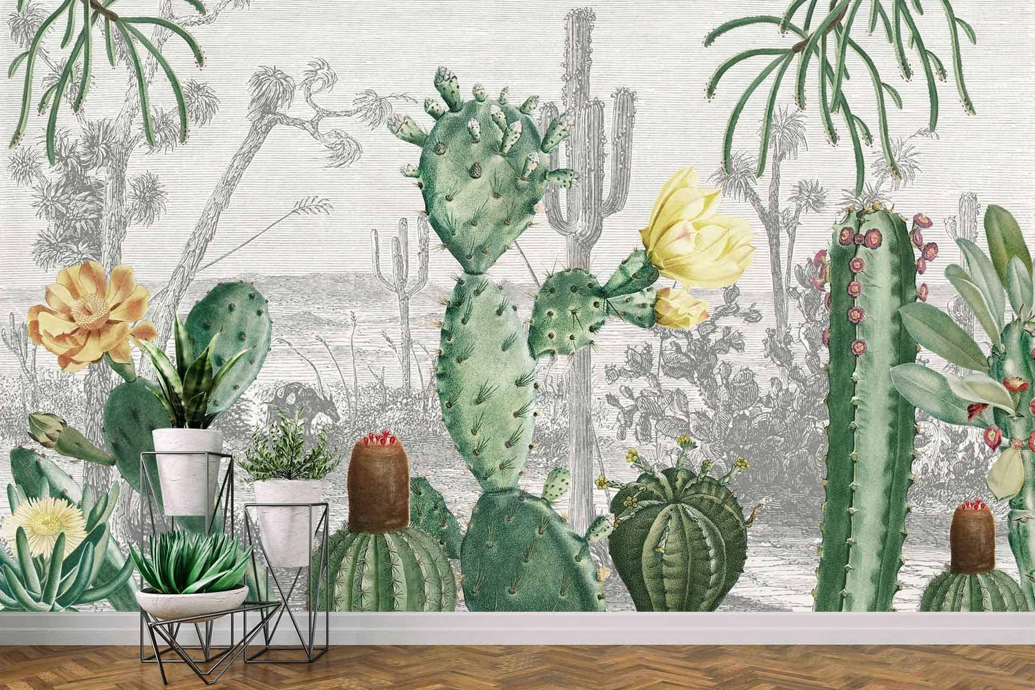 Cactus Heaven