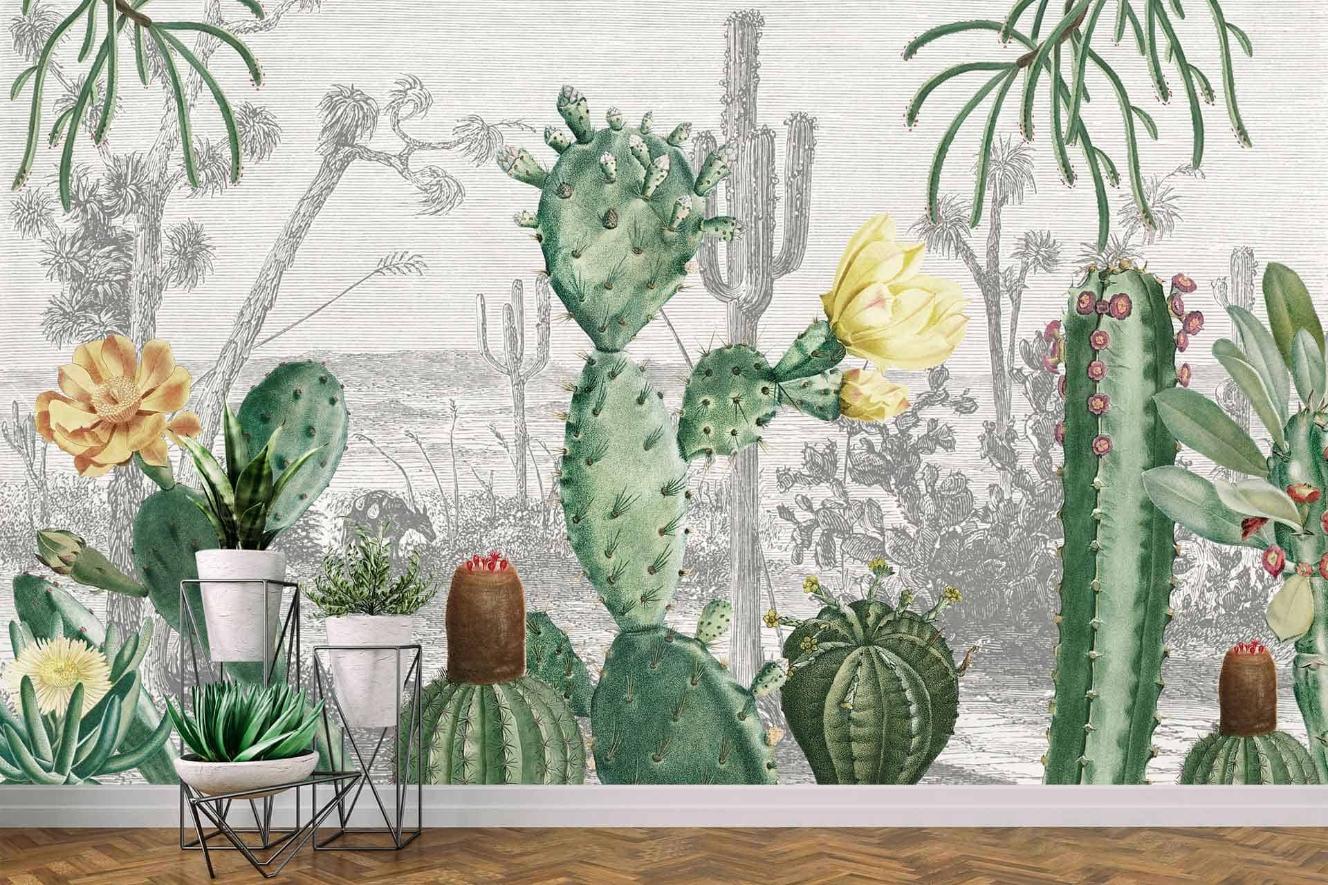 Cactus Heaven