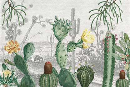 Cactus Heaven