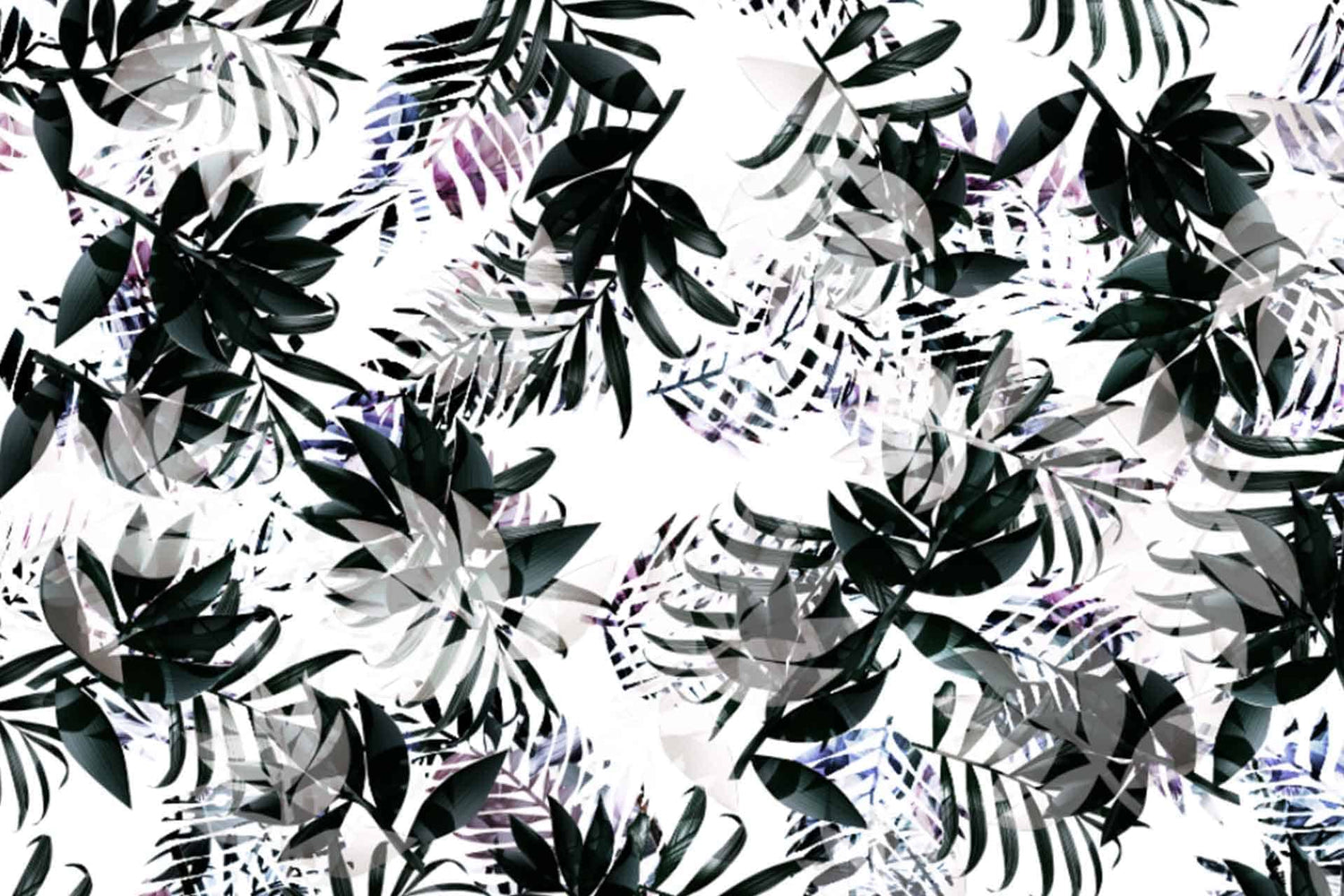 Clare Leaves